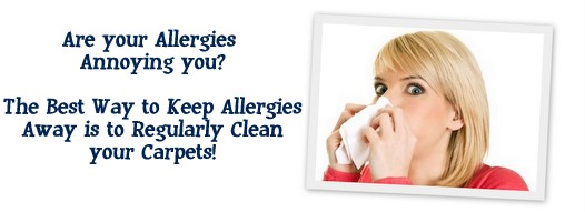 Carpet Cleaning San Leandro, CA