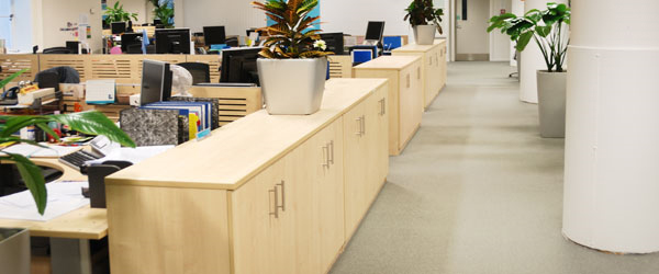 Commercial Carpet Cleaning San Leandro, CA