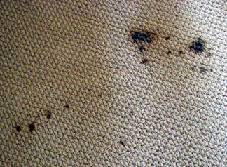 Spot & Stain Removal San Leandro, CA