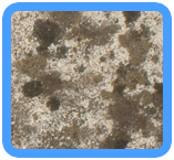 San Leandro, CA Water Damage Restoration